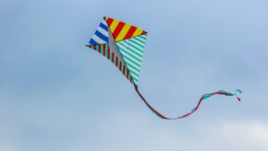 cerf volant