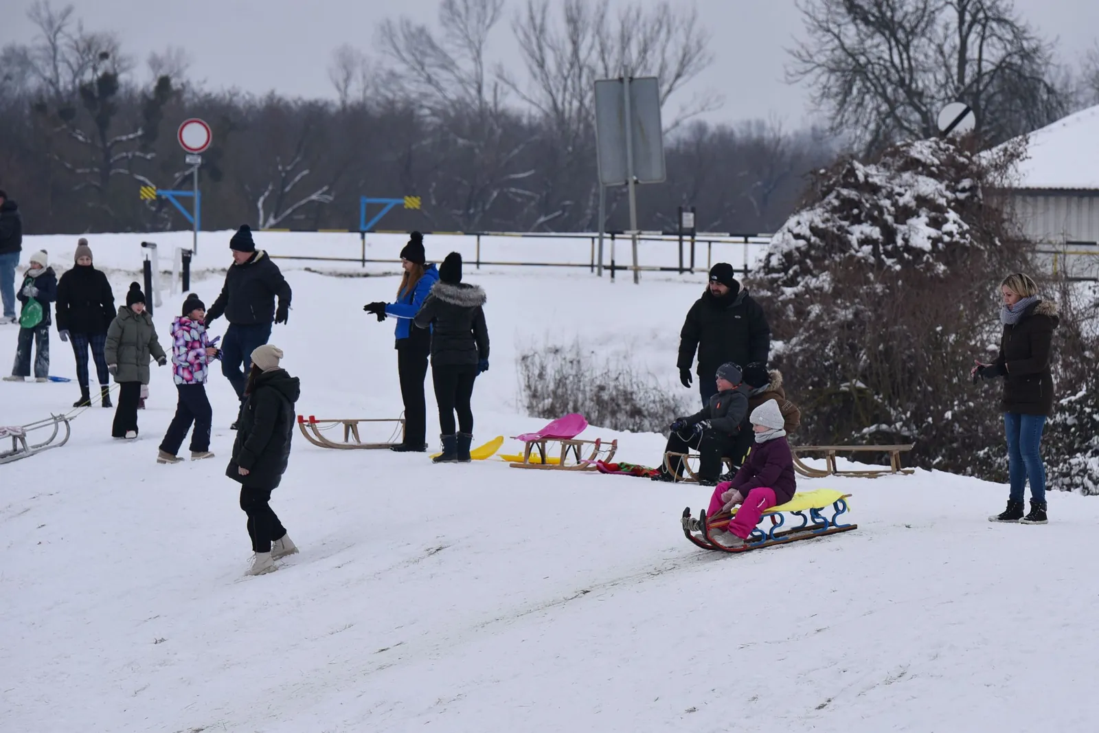 Des familles font de la luge sur une pente enneigée, un enfant descend sur une luge en bois.