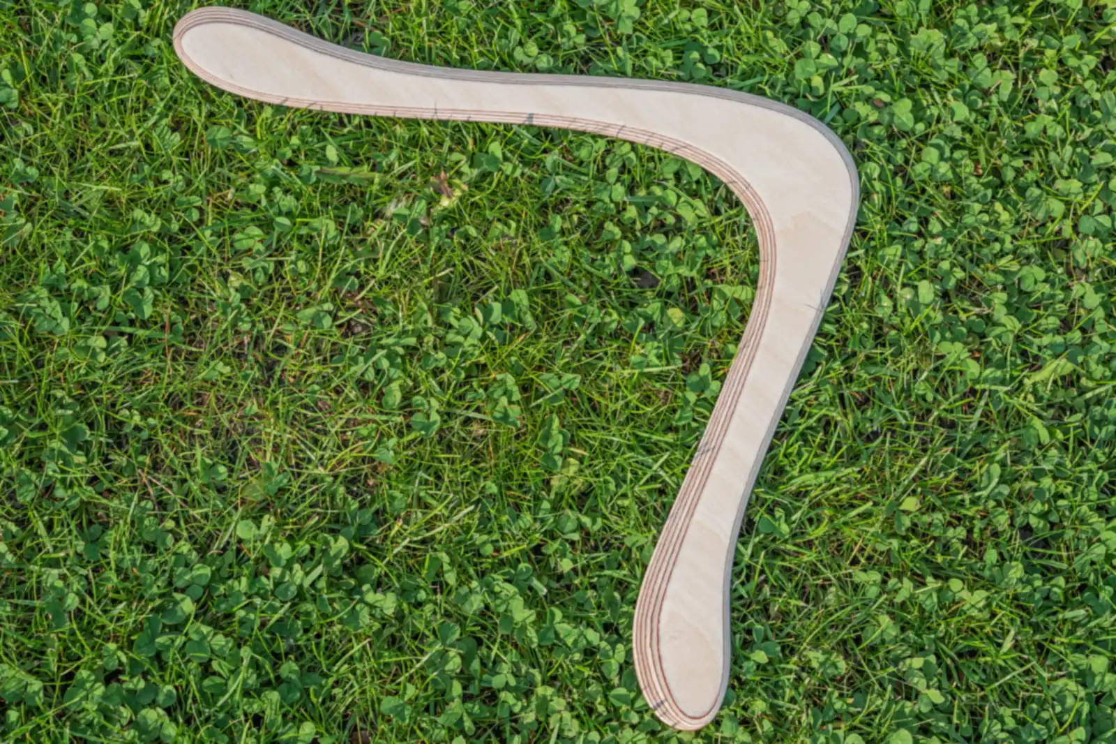 Comment choisir un boomerang ? Du premier modèle à la compétition