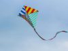 cerf volant