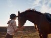 Quels critères considérer pour le choix d’un cheval pour le loisir ?