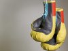 Checklist du matériel indispensable pour un premier cours de boxe